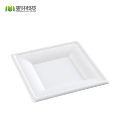 China Biodegradable Disposable Dinnerware Set , Compostable Plant Based Cutlery Eco - Friendly Dinnerware for sale