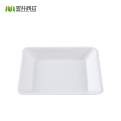 China Disposable Disposable Box Eco Friendly Takeaway Biodegradable Food Packaging Dishes for sale