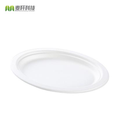 China Disposable Biodegradable Sugarcane Pulp Party Tableware Dish Sugarcane Bagasse Paper Plate Round Disposable Dish Dishes for sale