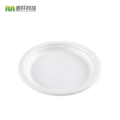 China Disposable Bagasse Disposable Disposable Sugar Cane Dishes Compostable Biodegradable Dishes for sale