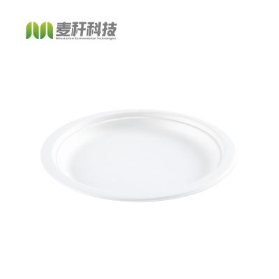 China Disposable Compostable Disposable Tableware Biodegradable Restaurant Dishes Bagasse Sugar Cane Serving Supplies Around Paper 50000pcs for sale