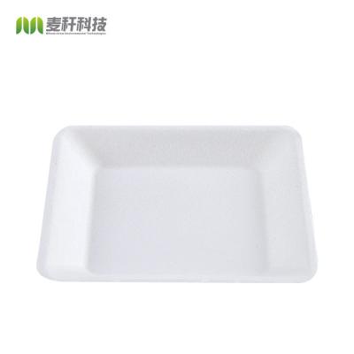 China Bagasse Food Container Disposable Compostable Disposable Sugar Cane Tableware Bagasse Square Dish for sale