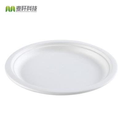 China Baggasse RoundCake Disposable Eco-friendly Biodegradable Steak Round Dessert Plate for sale