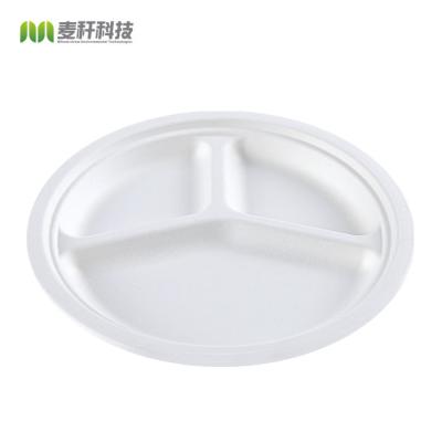 China Italy 9 Inch Disposable Compostable Food TUV Division 3 Plate Dish Dinnerware Set for sale