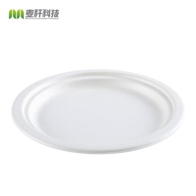 China Disposable 6 Inch 8 Inch 10 Inch Candy Cane Round Compostable Dishes For Party for sale