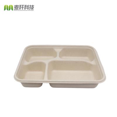 China Disposable Biodegradable Sugarcane Paper Bagasse Lunch Food Take Out Tray With Lid for sale