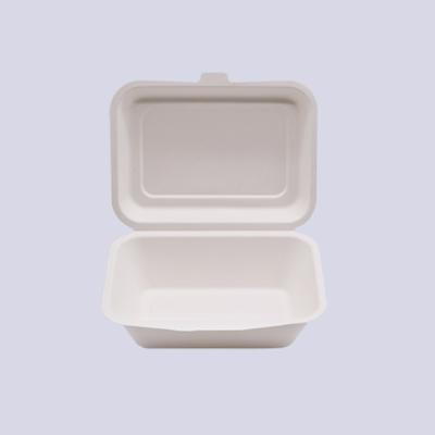 China Popular Biodegradable Sugar Cane Clamshell Lunch Bagasse Hamburger Box for sale