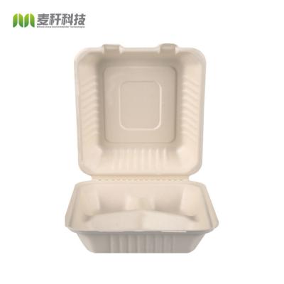 China Eco Friendly Biodegradable Food Box Eco Friendly Tableware Biodegradable Food Pack for sale