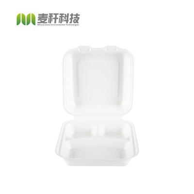 China Disposable Biodegradable Biodegradable Tray Bento Lunch Meal Box Takeaway Plastic Food Container Biodegradable for sale