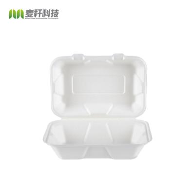 China Bagazo biodegradable containers for sale