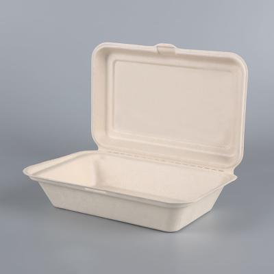 China Biodegradable Sugarcane Bagasse Takeaway Food Container Packaging Clamshell Biodegradable Disposable Box for sale