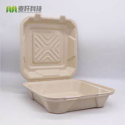 China 8x8 Inch Bagasse Food Resistant Take Out Lunch Box Hinged Clamshell Container for sale