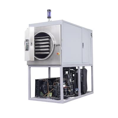 China Medium Size Factory Food Processing Vacuum Freeze Dryer for sale