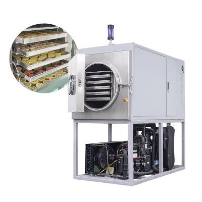 China Food Processing Medium Vacuum Freeze Drying Manufacturing Equipment for sale