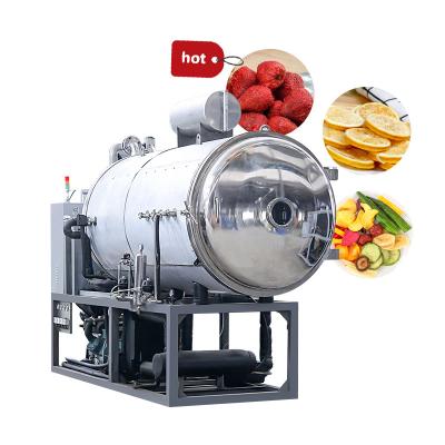 China Industrial Food Processing Food Freeze Machine Food Dryer Freeze Dryer for sale