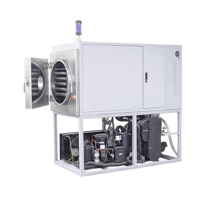 China Factory Industry Mid Size Freeze Dryer Pilot Scale Freeze Drying Machine for sale