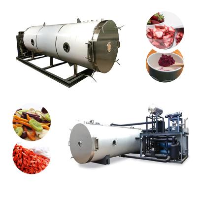 China Food processing frut liofilizador industrial equipo Alimento Para industrial mascotas con fresa y kiwi for sale