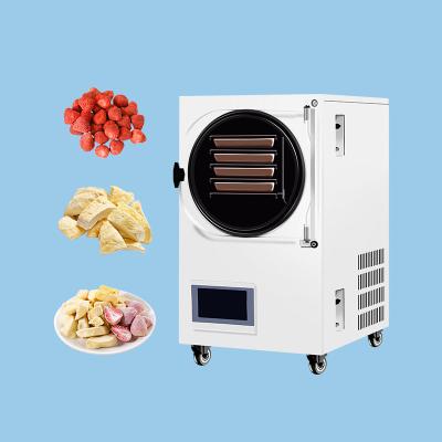 China Hot Sale Food Processing Home Freeze Dryer Machine With Flexible Freeze Drying Process for sale