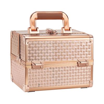 China Durable Hard Case Makeup Storage Fashion Design Portable Make Up Briefcase Metal Travel Box for sale