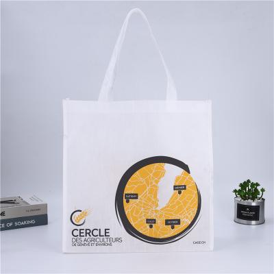 China Customized Handled Recyclable PLA Bag Supermarket Customized Promotional Non Woven Shopping Bags for sale