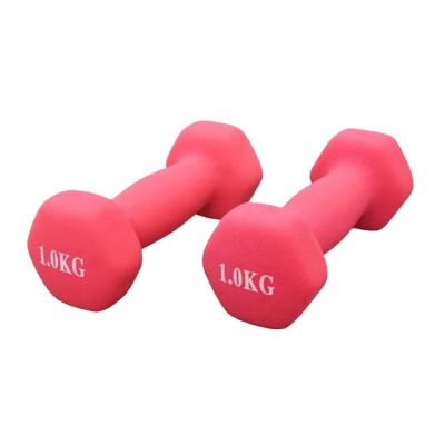 China Plastic Dip Dumbbell New Color Soaked Dumbbell For Fitness for sale