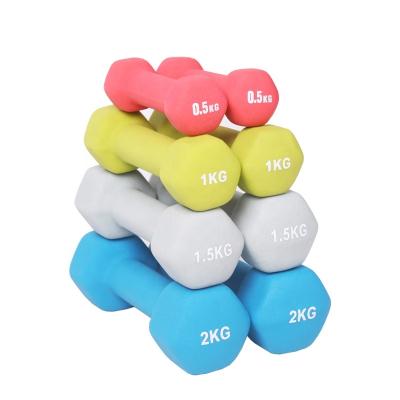 China Durable Home Gym Equipment Rubber Dumbbell Set Vinyl Dipping PVC Hex Dumbbells for sale