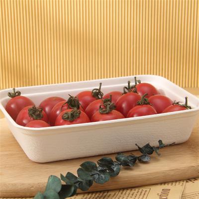 China Disposable Biodegradable Sugarcane Bagasse Compoastable Trays Food Breakfast Cutlery Store for sale