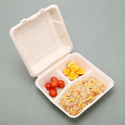 China Custom Lunch Bento Box Disposable Microwave 9x9inch 3 Compartments 100% Eco-Friendly Biodegradable Sugar Cane Bagasse for sale