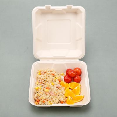 China Disposable Biodegradable Takeout Paper Bento Box Packaging Sugarcane Bagasse Food Container Disposable Lunch Box For Kids for sale