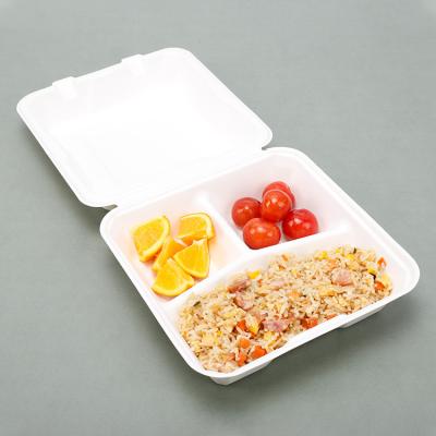 China Disposable Biodegradable Wholesale Bagasse Paper Container Compostable Package Sugar Cane Boxes Fast Food To Go Boxes for sale