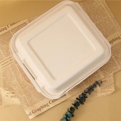 China Non-toxic Biodegradable Compostable Disposable Food Box Sugarcane Bagasse Clamshell Food Container Tableware Box for sale