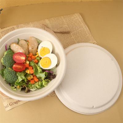 China Disposable Disposable Lid Cover Disposable Rice Box Food Bagasse Sugar Cane Compostable Biodegradable With Covers for sale