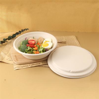 China Disposable Bowl Biodegradable Paper Lid Fruit Bagasse Sugarcane Salad Bowl Compostable Disposable Food Bowl for sale