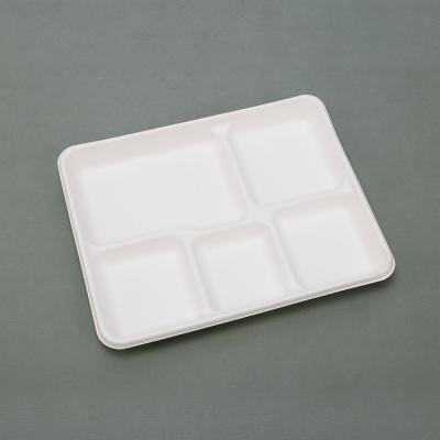 China Disposable Carteen 5 Compartment School Paper Pulp Sugar Cane Biodegradable Bagasse Disposable Lunch Food Tray for sale