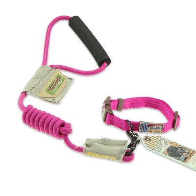 China Beautiful Sustainable Leash Dog Pet Collar for sale