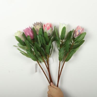 China Beautiful Large Stem Protea Large Flower Head Stem Home Decor Wedding Bouquet Tropical Floral Plant Colorful Artificial King Protea With Leaf for sale