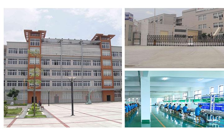 Verified China supplier - Quanzhou Wangyu Trading Co., Ltd.