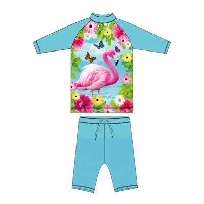 China Boy non-toxic swimsuit can be customized with digital process 85% polyester 15% spandex 190gsm printing starting order 600 pieces for sale