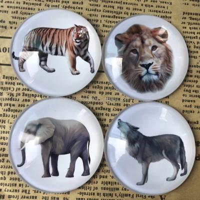 China High Quality Animal Crystal Glass Dome Fridge Magnet,The Animals Elephant,Lion,Tiger Image Printing Souvenir 3d Zoo Magnet for sale