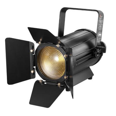 China Sports Stadiums Professional Audio Video And Studio Photography Lights 100W Lighting Led Fresnel Light for sale