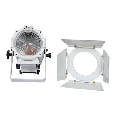 China 2IN1 Stage COB LED Fresnel Warm White And Cool 600W Theme Park Visual White Light for sale