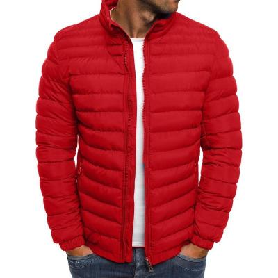 China 2022 Autumn/Winter Cotton Jacket Comic Solid-color Men's Casual Coat Men's Anti-Wrinkle Collar Cotton Thermal Jacket for sale