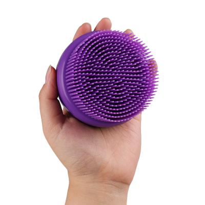 China EXFOLIATE Wholesale Custom Wet Lohas 2022 Logo Handle Natural Silicone Dry Skin Body Bath Brush for sale