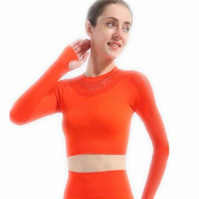 China Sale Quality Breathable Fitness 2 Piece Yoga Suit Wear Seamless Mesh Yoga Set 2021 for sale