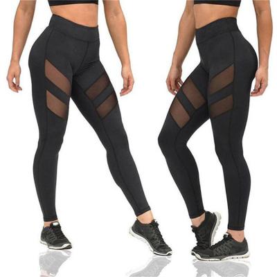 China Breathable High Quality Bamboo Plus Size Seamless Pants Black Women Yoga Soft Leggings for sale