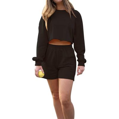 China Breathable Wholesale Shorts Sports Sweater Suit Long Sleeve Black T-shirts Women Activewear Crop Tops for sale