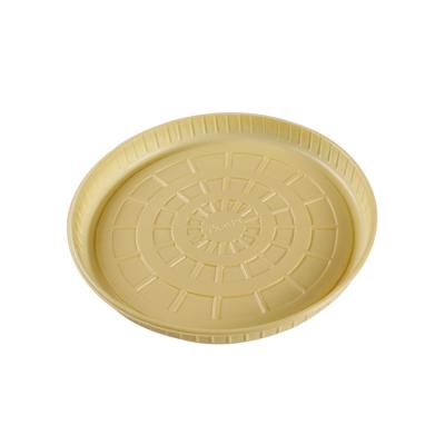 China Biodegradable accept triangle custom plastic transparent cake box take away food container tray sandwich packing case foam baking pizza box for sale