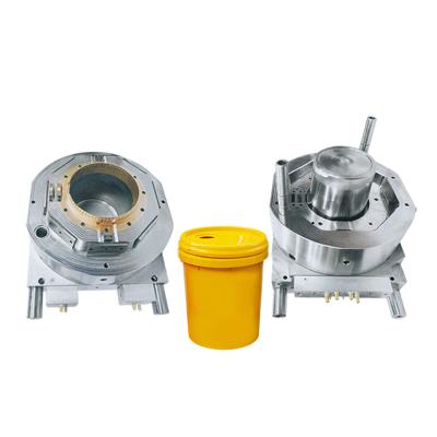 China Precise Make Single Mold Parts / Multi Cavities Injection Mold For Hot / Cold Bucket Runner Bucket Mold for sale