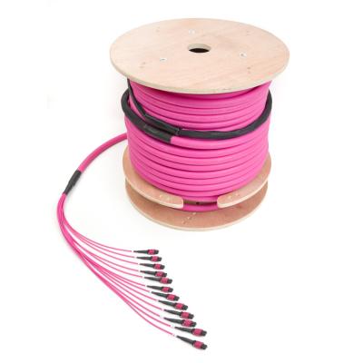 China Telecommunication Fiber Optic Patch Cord MM 50/125um Trunk Cable Polarity UN MPO/MPT MPO (Male) - MP Fiber Optic Jumper (Male) for sale