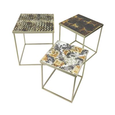 China Customized Modern Artist Design Print Art Model Metal Frame UV Glass Side Table Set for sale